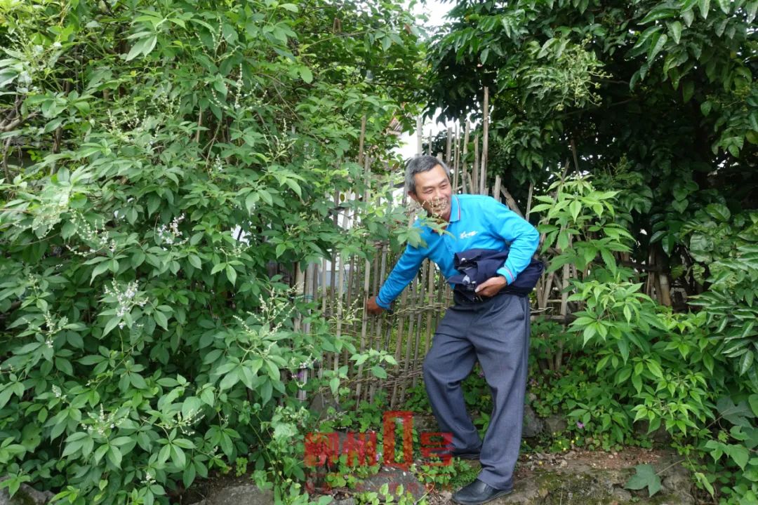 DƬ